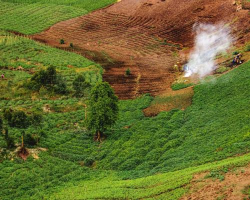 CONGO GRACE M Portrait 