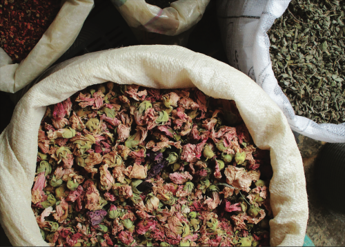 Fatima Awadh ARif al Rayani