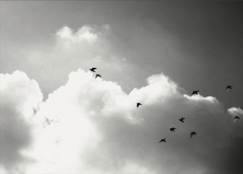 Usama Rafaat al Hariri